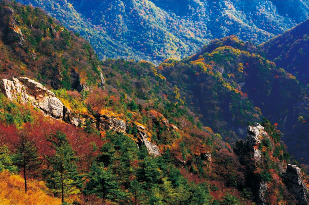 Lishan National Forest Park -Autumn-xian Lishan National Forest Park -Autumn-xian